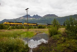 ALJ_Anchorage_Denali