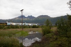 ALJ_Anchorage_Denali