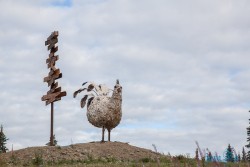 ALJ_Chicken