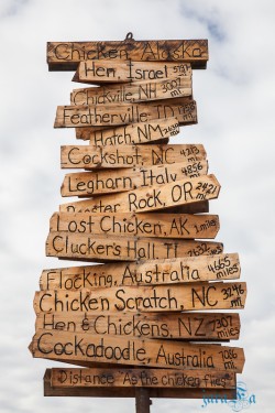 ALJ_Chicken