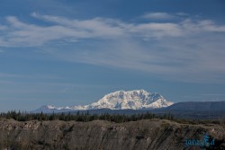 ALJ_Chitina_Wrangler NP