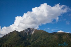 ALJ_Chitina_Wrangler NP
