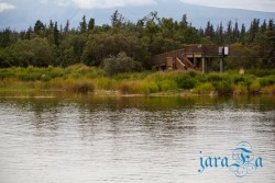 ALJ_Katmai NP