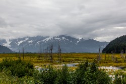 ALJ_Kenai_Anchorage