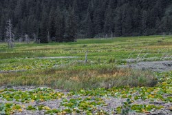 ALJ_Kenai_Anchorage