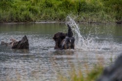 ALJ_Kenai_Anchorage