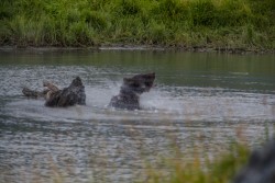 ALJ_Kenai_Anchorage