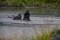 ALJ_Kenai_Anchorage