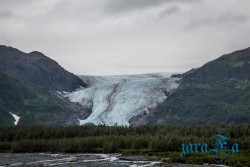 ALJ_Kenai Fjords NP