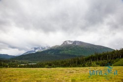 ALJ_Kenai Fjords NP