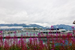ALJ_Seward