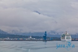 ALJ_Seward_ledovec