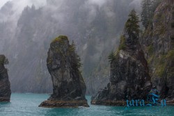 ALJ_Seward_ledovec
