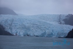 ALJ_Seward_ledovec