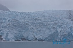 ALJ_Seward_ledovec