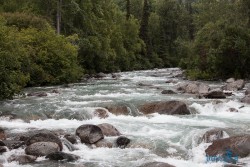 ALJ_Wasilla