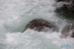 ALJ_Wasilla