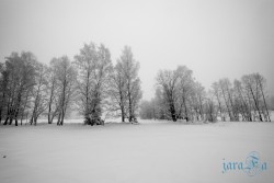CZ_Šumava