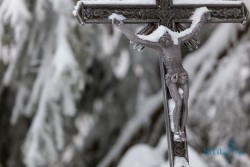 CZ_Šumava