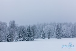 CZ_Šumava