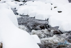 CZ_Šumava