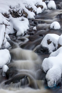 CZ_Šumava
