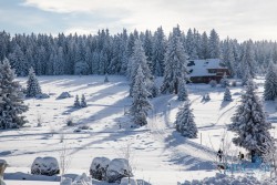 CZ_Šumava