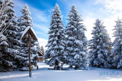 CZ_Šumava