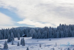 CZ_Šumava