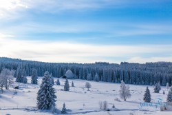 CZ_Šumava