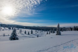 CZ_Šumava