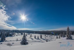 CZ_Šumava