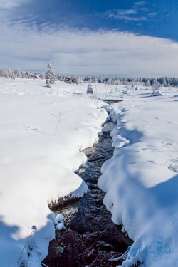 CZ_Šumava