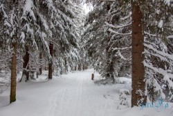 CZ_Šumava