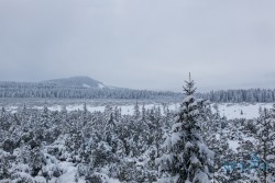 CZ_Šumava