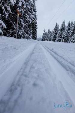 CZ_Šumava