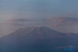 Kena_Amboseli