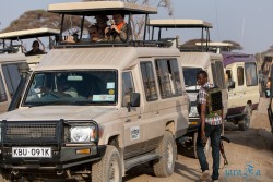 Kena_Amboseli