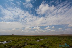 Kena_Amboseli