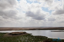 Kena_Amboseli