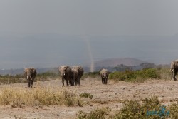 Kena_Amboseli