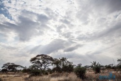 Kena_Amboseli
