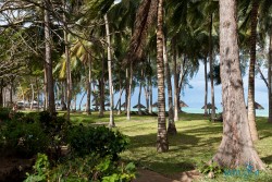 Kena_Diani Beach