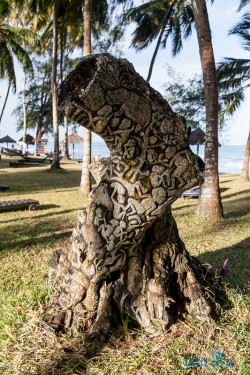 Kena_Diani Beach