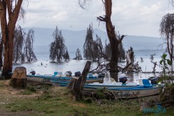 Kena_Naivasha