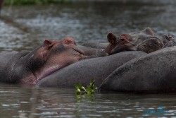 Kena_Naivasha