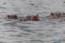 Kena_Naivasha
