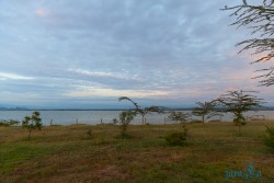 Kena_Nakuru