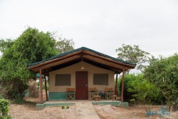 Kena_Tsavo