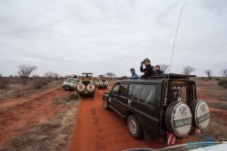 Kena_Tsavo